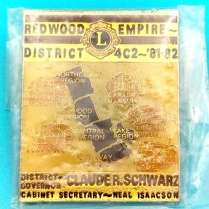 Redwood Empire California 1981-1982 Lions Club Vintage Pin Gold Tone
